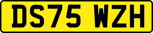 DS75WZH