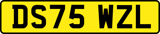 DS75WZL