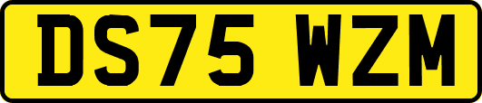DS75WZM
