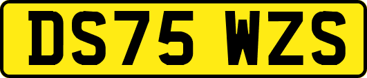 DS75WZS