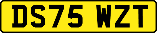 DS75WZT