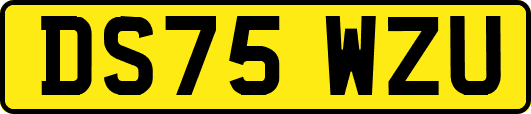 DS75WZU