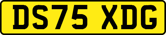 DS75XDG