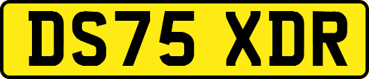 DS75XDR