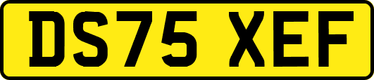 DS75XEF