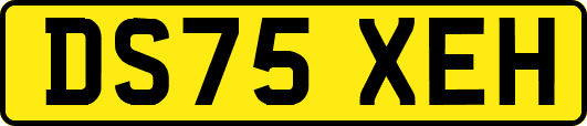 DS75XEH