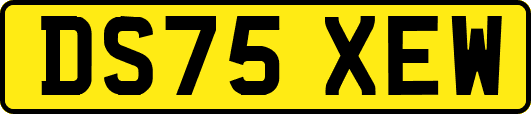 DS75XEW