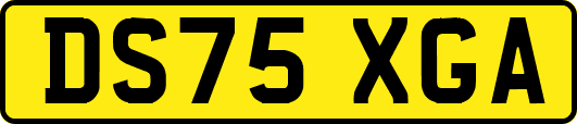 DS75XGA