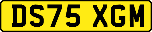 DS75XGM