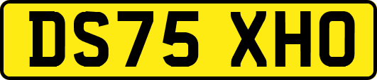 DS75XHO