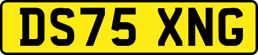 DS75XNG