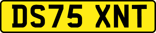 DS75XNT