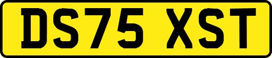DS75XST