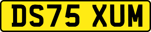 DS75XUM