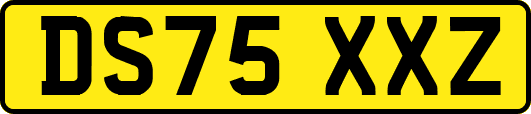DS75XXZ