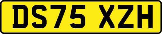 DS75XZH