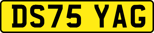 DS75YAG
