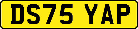 DS75YAP