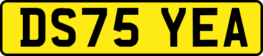 DS75YEA