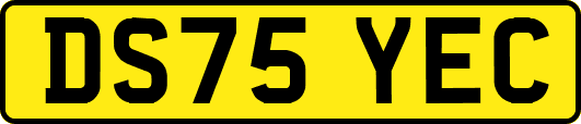 DS75YEC