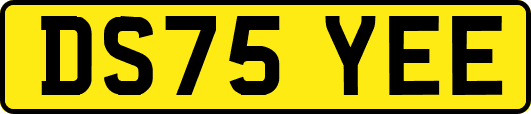 DS75YEE