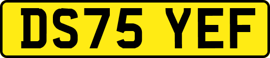 DS75YEF