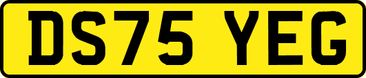 DS75YEG