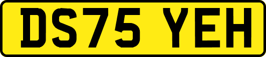 DS75YEH