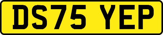 DS75YEP