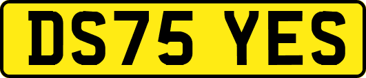 DS75YES