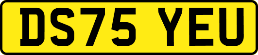 DS75YEU