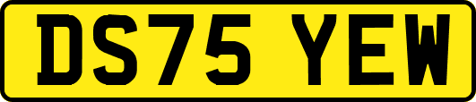 DS75YEW