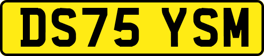 DS75YSM