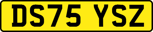 DS75YSZ