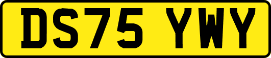 DS75YWY