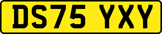 DS75YXY
