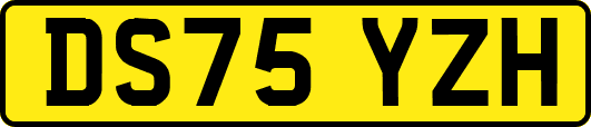 DS75YZH