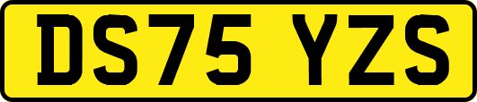 DS75YZS
