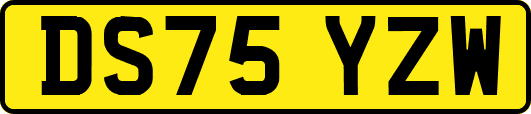 DS75YZW