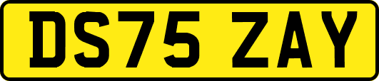 DS75ZAY