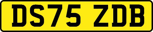 DS75ZDB