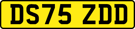 DS75ZDD
