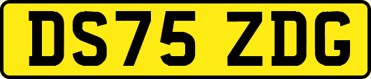 DS75ZDG