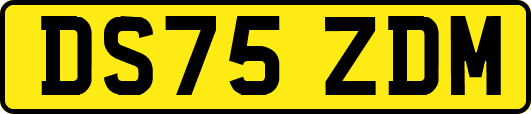 DS75ZDM