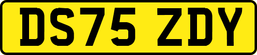 DS75ZDY
