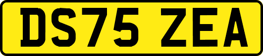 DS75ZEA