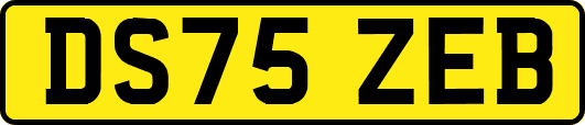 DS75ZEB