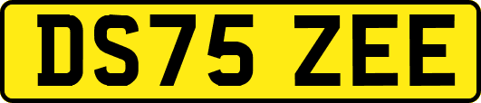 DS75ZEE