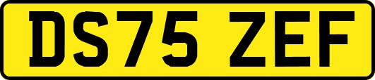 DS75ZEF