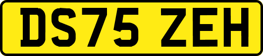 DS75ZEH